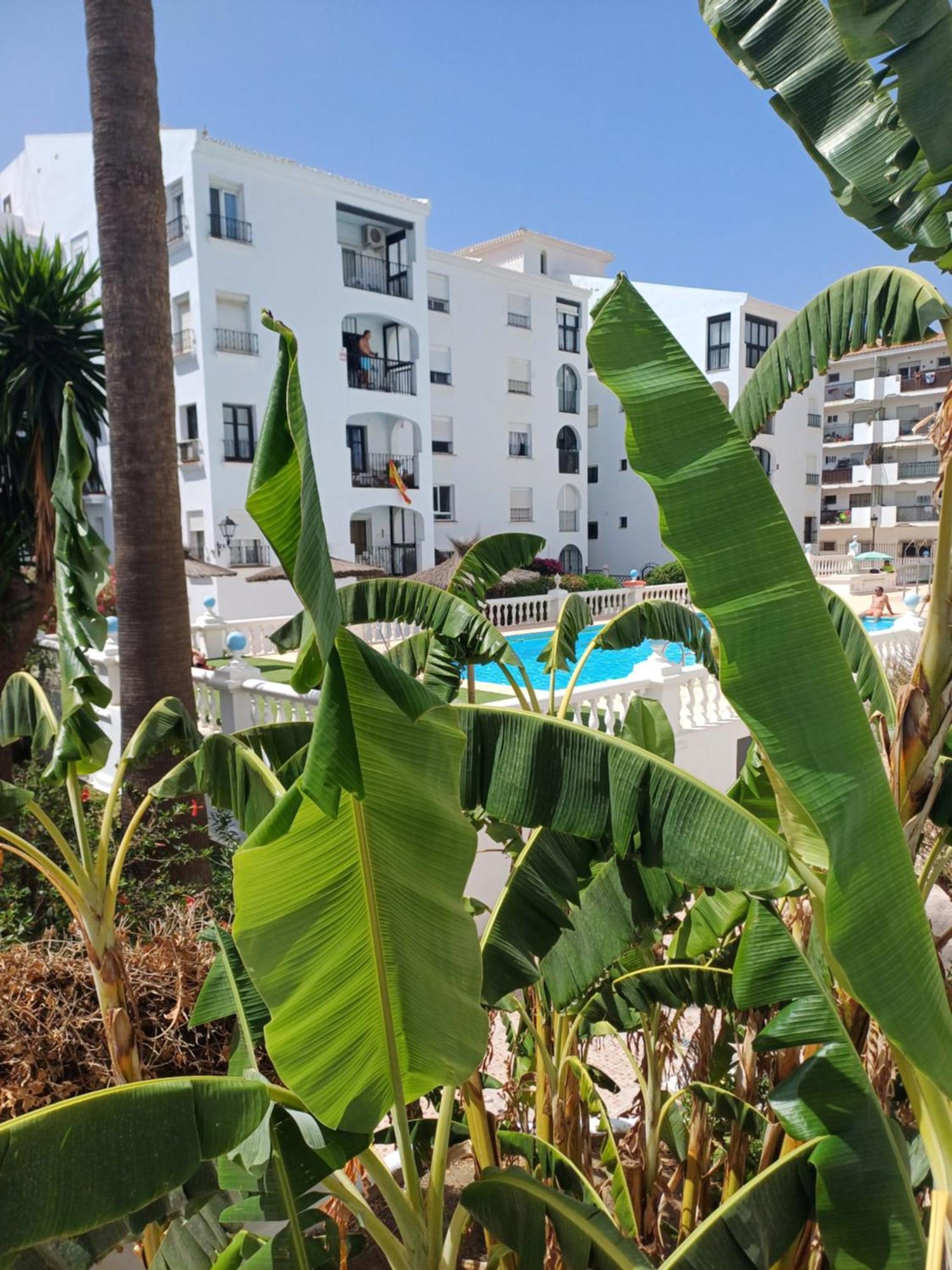 Beautiful Beachfront Newly Renovated 2 Bedroom Apartment With Swimming Pool And Garden San Luis de Sabinillas Esterno foto